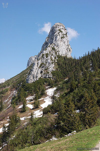 Фото Юрий Берг