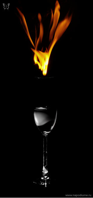 Фото David Seel