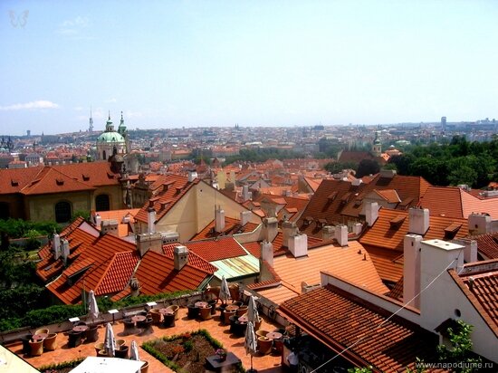 Фото Софья Иванова