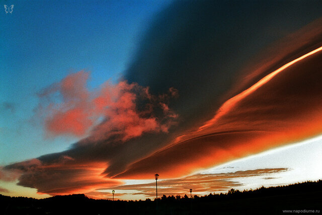 Фото Андрей Войцехов