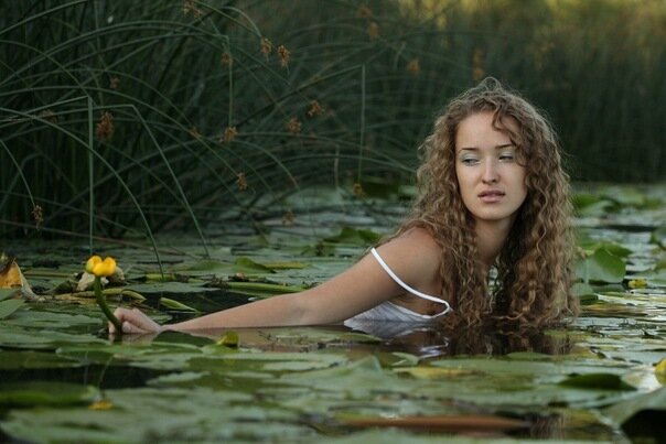 Фото Ksenia