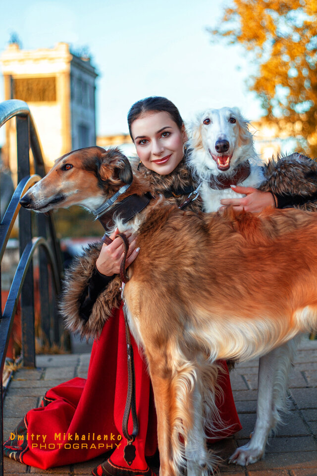 Фото Дмитрий Михайленко