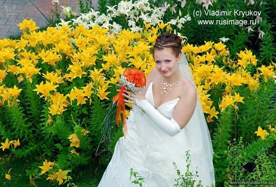 Wedding,   свадебная фотография