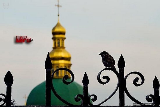 Фото Андрей С.