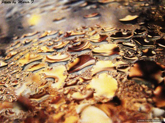 Фото Maria Ferle