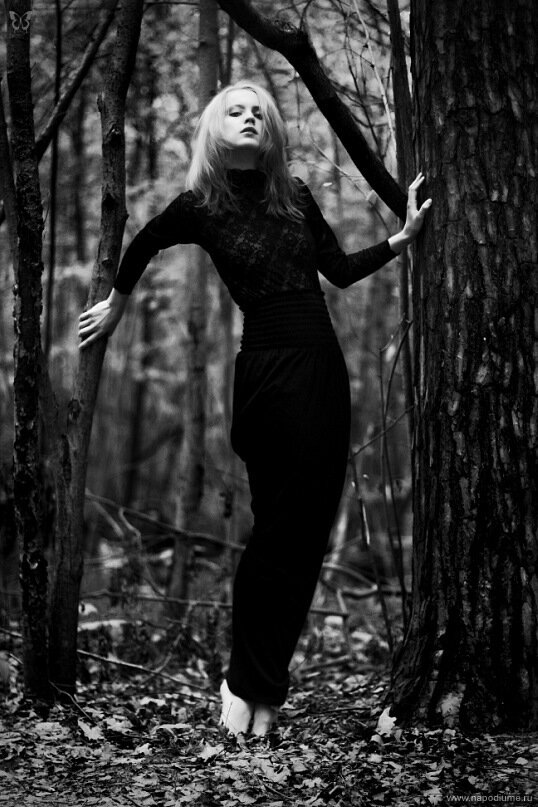 Фото Darina Zimmerman