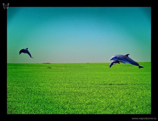 Фото Artyom Dreychuk