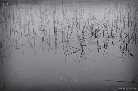 Фото Margo Vka