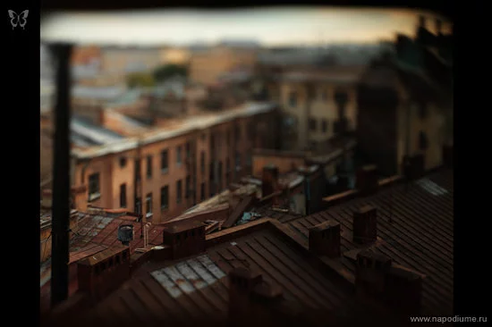 Lazarenko Lazarenko's photo