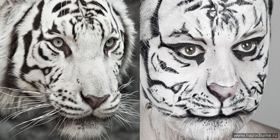 Фото Kate Kudrina