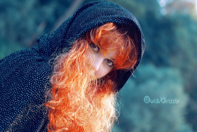 Фото Alisa Owl Saffron