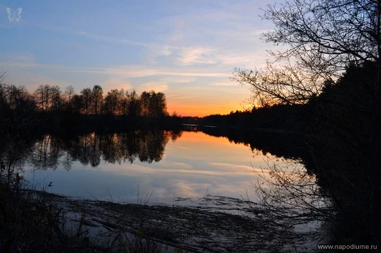 Andrew Solovev's photo