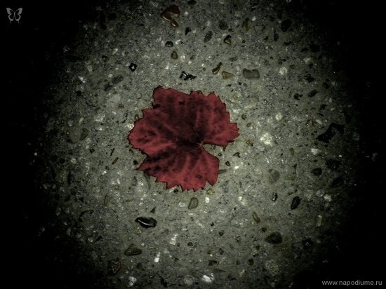 Фото Julia Tofan