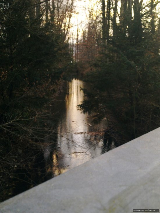 Nature