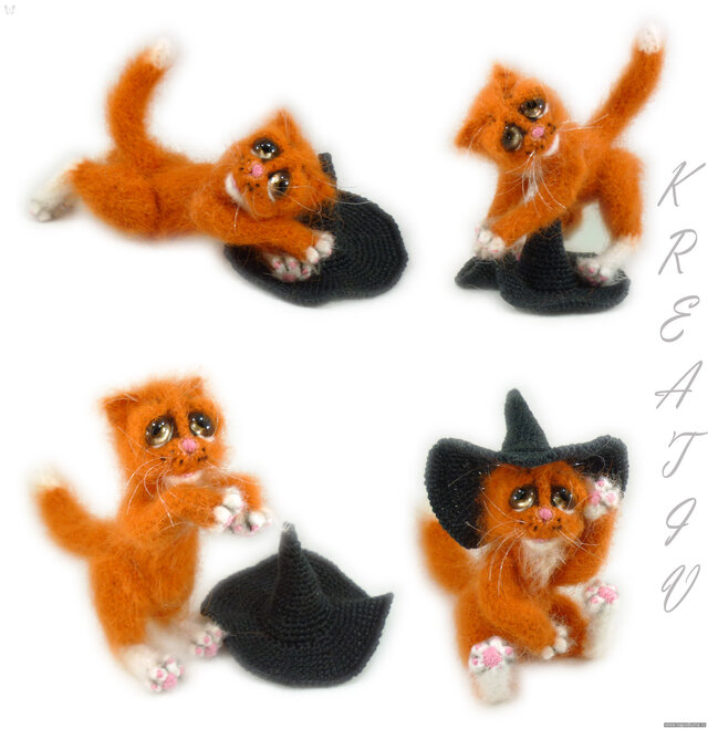 Тыквенный кот.