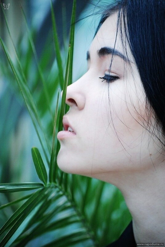 Фото Iva Basara