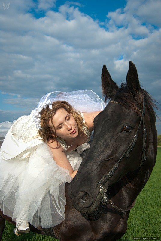 лето, свадьба,  лошади,  фата,  свадебное платье,  креатив