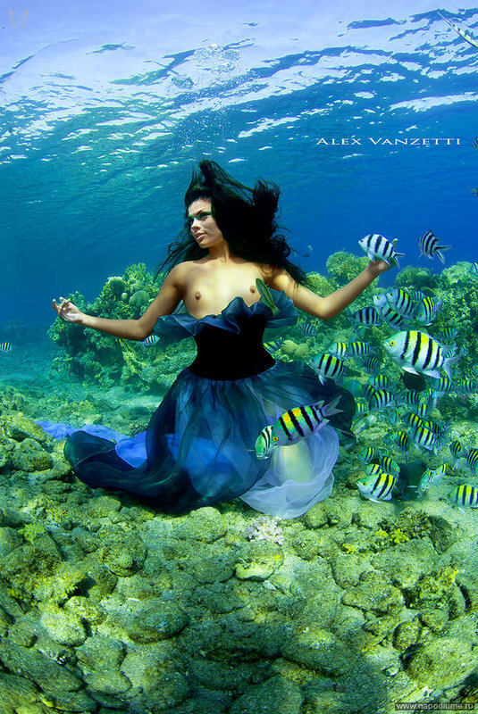 Фото Alex Vanzetti
