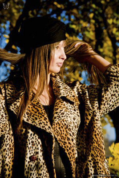 Фото Daily Models
