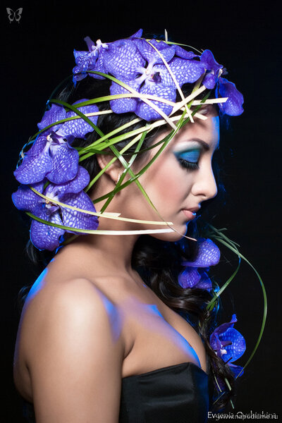 Vanda "blue magic"