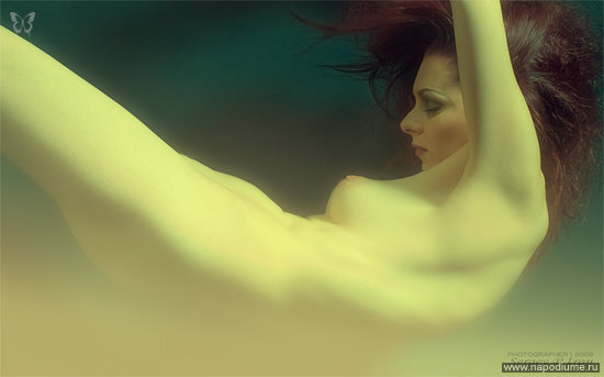 Фото Sergey P. Iron