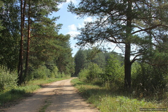 Фото Вячеслав Зайцев