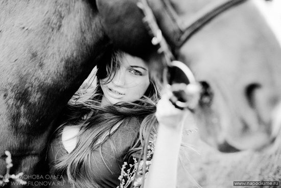 портрет,  лошадь,  животные,  природа,  платье,  Fashion