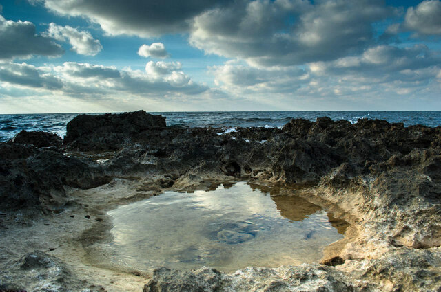Фото Mikhail Shkredov