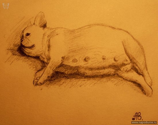 рисунок карандашом