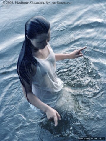 Фото Iva Basara