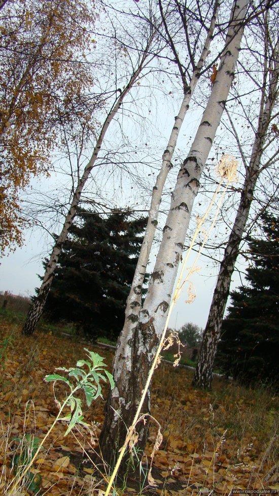 Фото Daria Drida Zhyvchenko