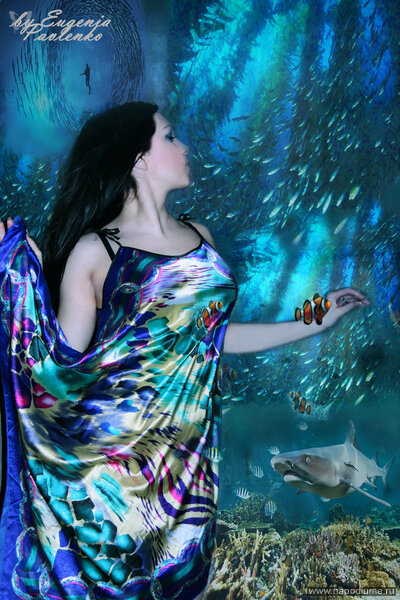 Eugenia euphoria Pavlenko