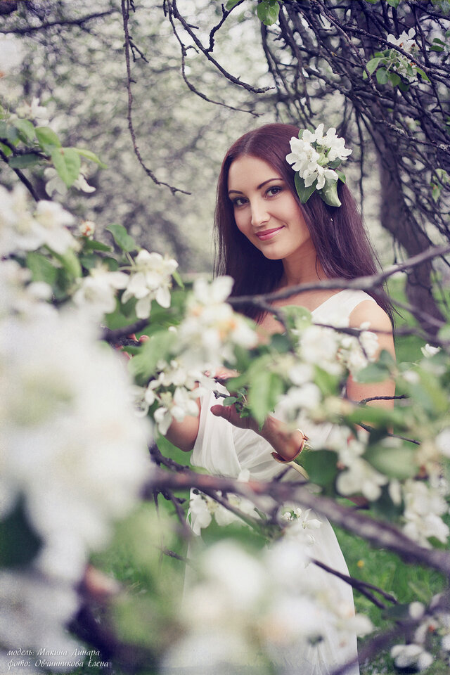 Foto Dinara Makina