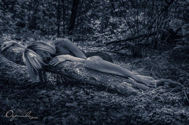 Фото Darishka