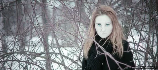 photo #1523304