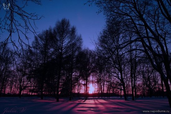 Фото Юлия Винницкая