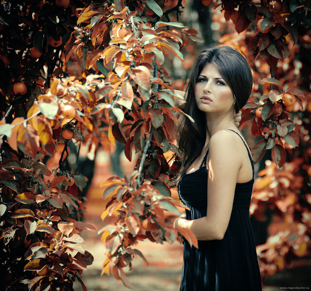 Фото Irada Gamb