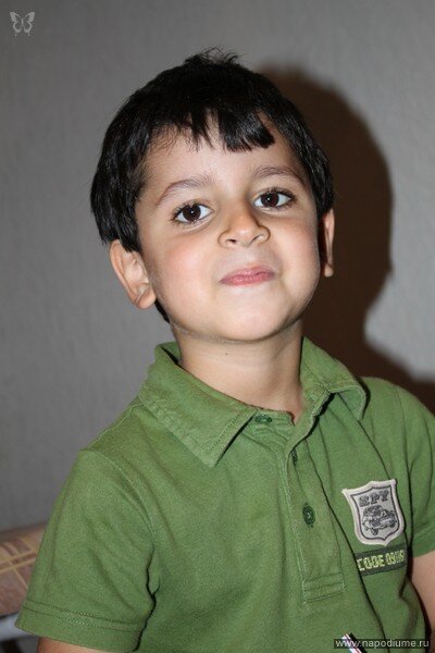 Фото Daud Al-Dbeis
