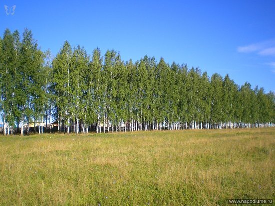 Фото Дамир Аширов