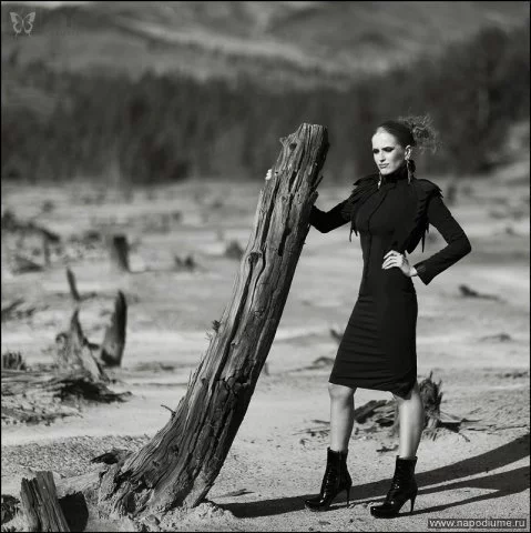Fashion