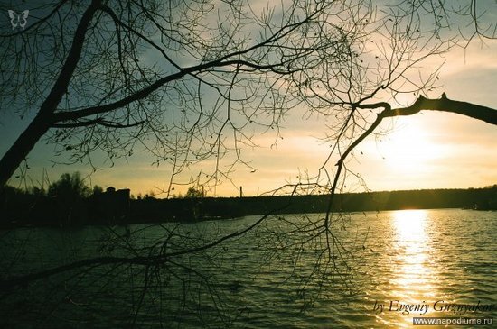 Фото Evgeniy Guznyakov