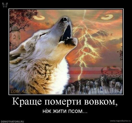 Фото Наташа Эмочка Трепалова