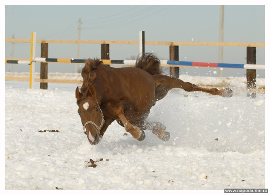 Фото Евгений Лушин