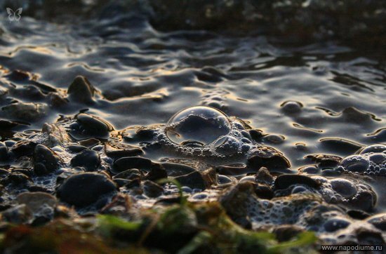Фото Darja Maximova