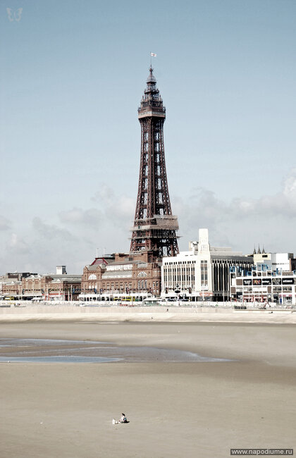 Фото David Seel