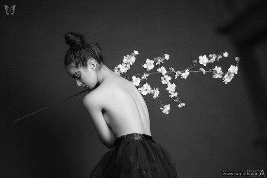 Фото Anna Frolova