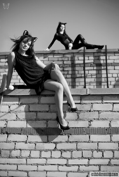 Фото Елена ArtСatAlice Глотова