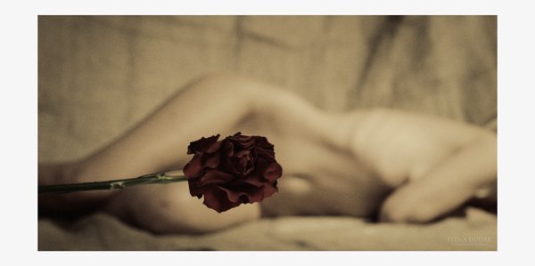 Фото Елена Дударь