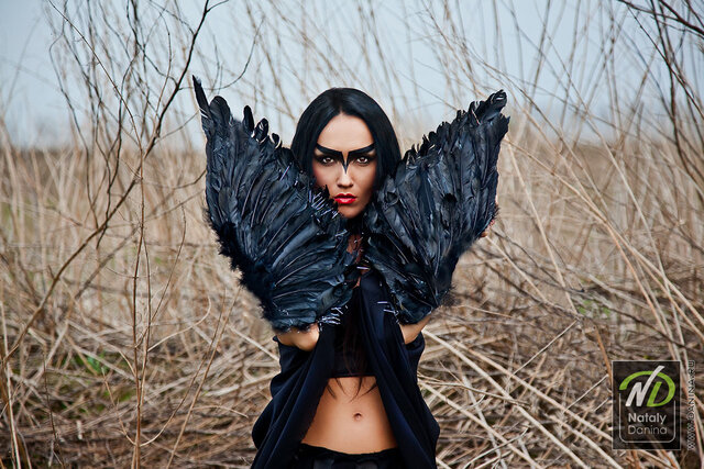 The Black Maria