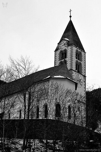 Фото studio Vitaliano